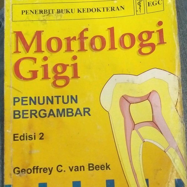 Morfologi Gigi