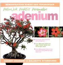 Petunjuk Praktis Perawatan Adenium