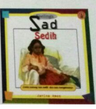 Feelings Sad :  Sedih