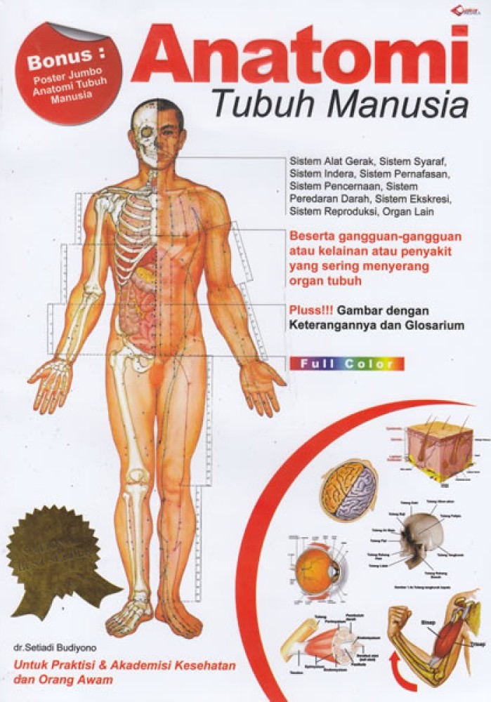 Anatomi tubuh manusia