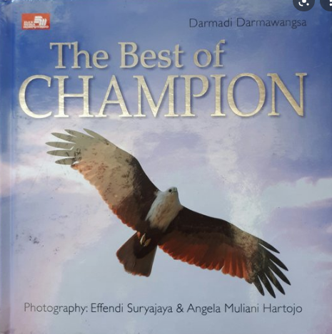 The best of champion