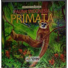 Fauna Indonesia : Primata