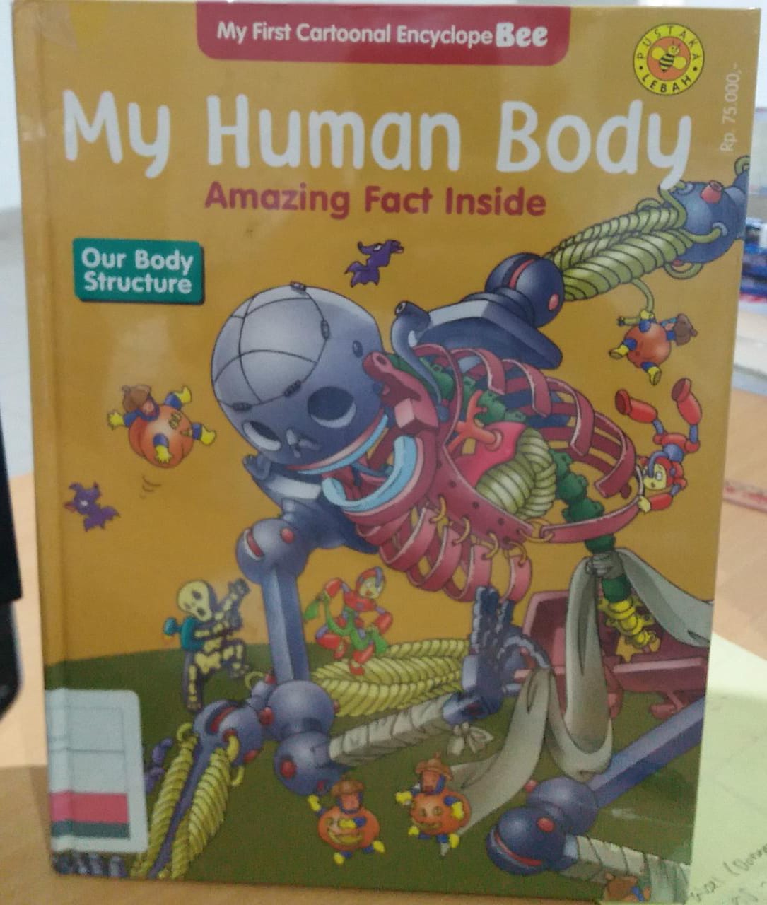 My human body amazing fact inside :  our body structure