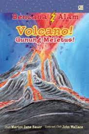 Bencana alam :  Volcano ! Gunung Meletus !