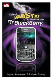 Solusi dahsyat permasalahan blackberry