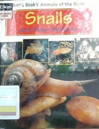 Snails and other mollusks
