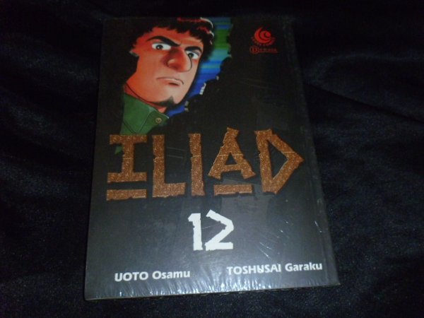 Iliad 12
