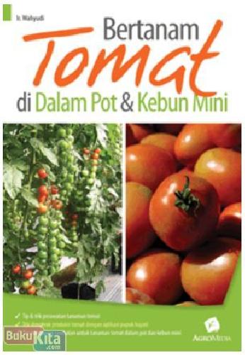 Bertanam tomat di dalam pot dan kebun mini