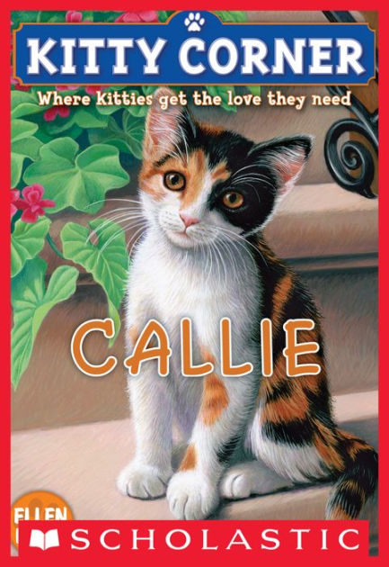Callie (Kitty Corner) :  where kitties get the love they need