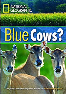 National geographic :  Blue cows?