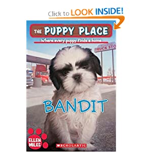 The puppy place :  bandit