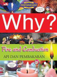 Why ? Fire and combustion - Api dan pembakaran