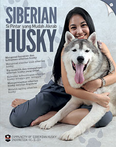 Siberian husky :  si pintar yang mudah akrab