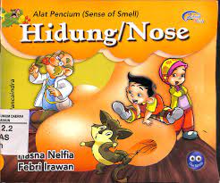 Alat pencium (sense of smell) :  hidung/nose