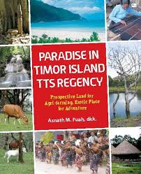 Paradise in timor island tts regency :  Prospective land for agri-farmin, exotic place for adventure