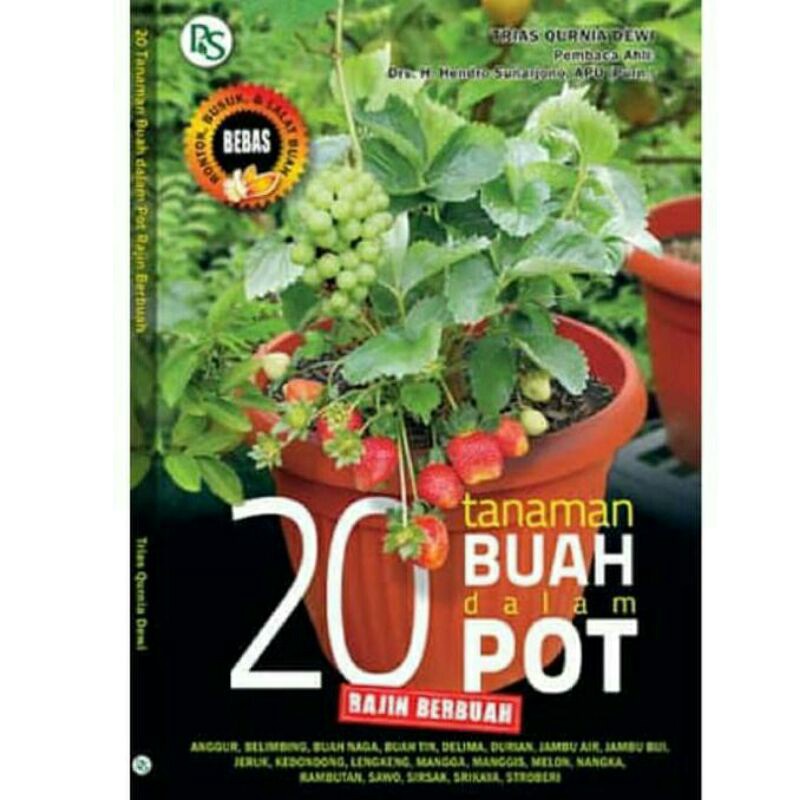 20 tanaman buah dalam pot rajin berbuah
