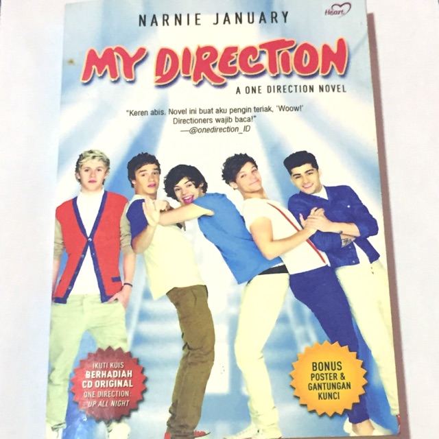 My direction :  a one direction novel