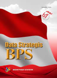 Data Strategis BPS