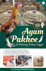 Ayam Pakhoe :  Si Petarung Paling Unggul