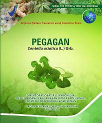 SERIAL THE POWER of obat asli Indonesia :  Pegagan (Centella asiatica L. Urb.)