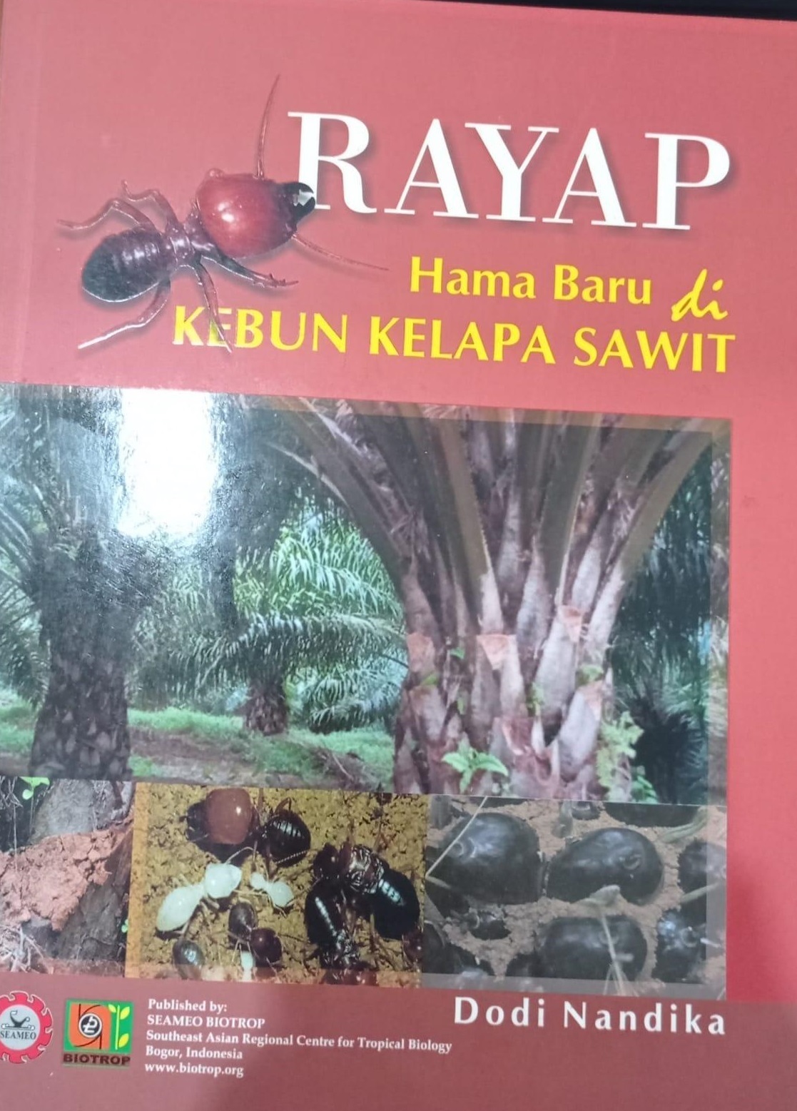 Rayap : :  Hama baru di kebun kelapa sawit