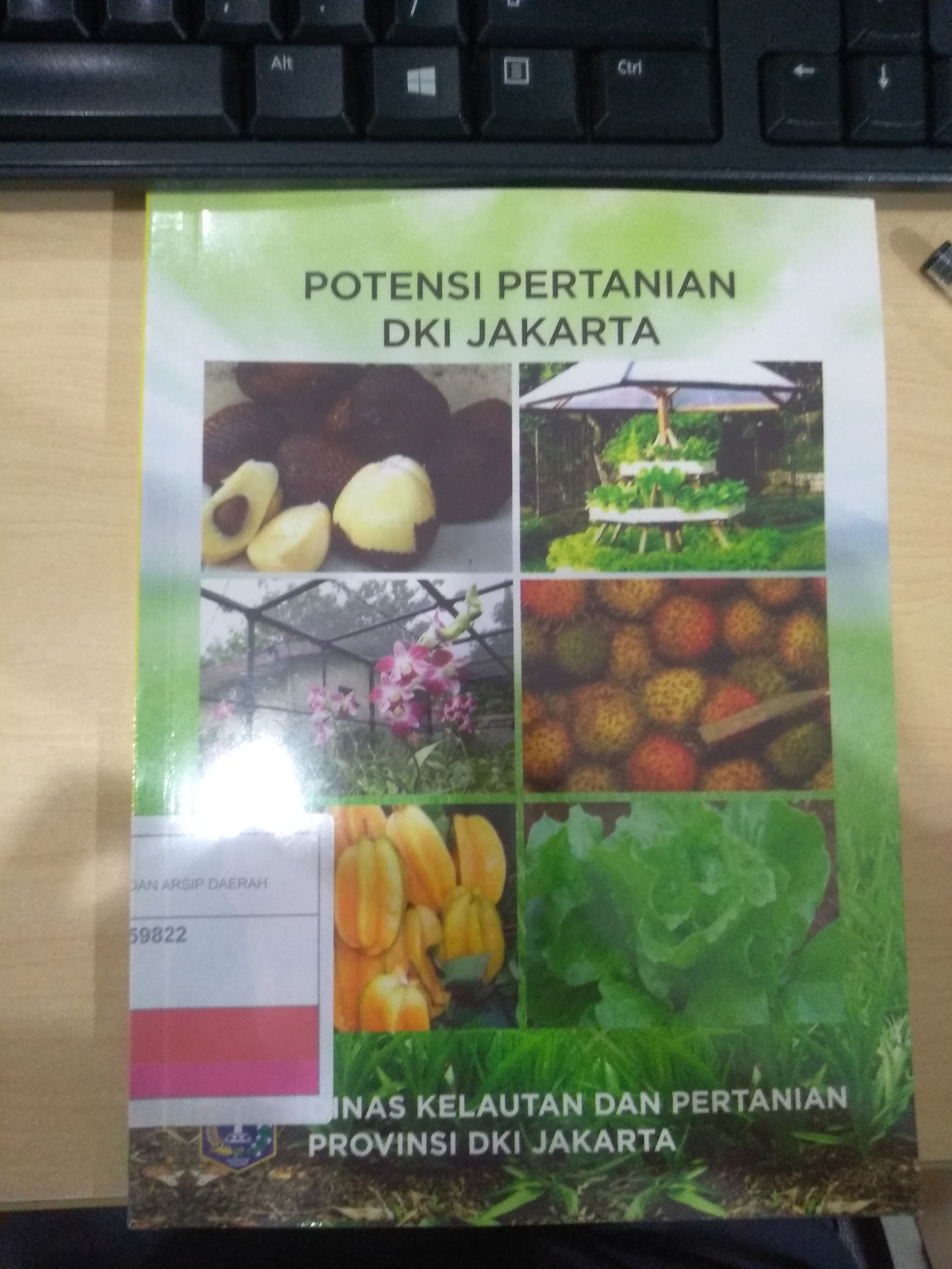 Potensi Pertanian DKI Jakarta