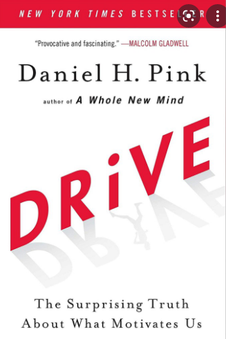 Drive :  The Surprising Truth About What Motivates Us