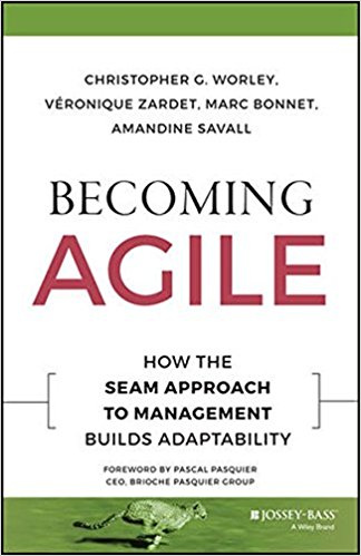 Becoming Agile :  How the Seam Approach to Management Builds Adaptability