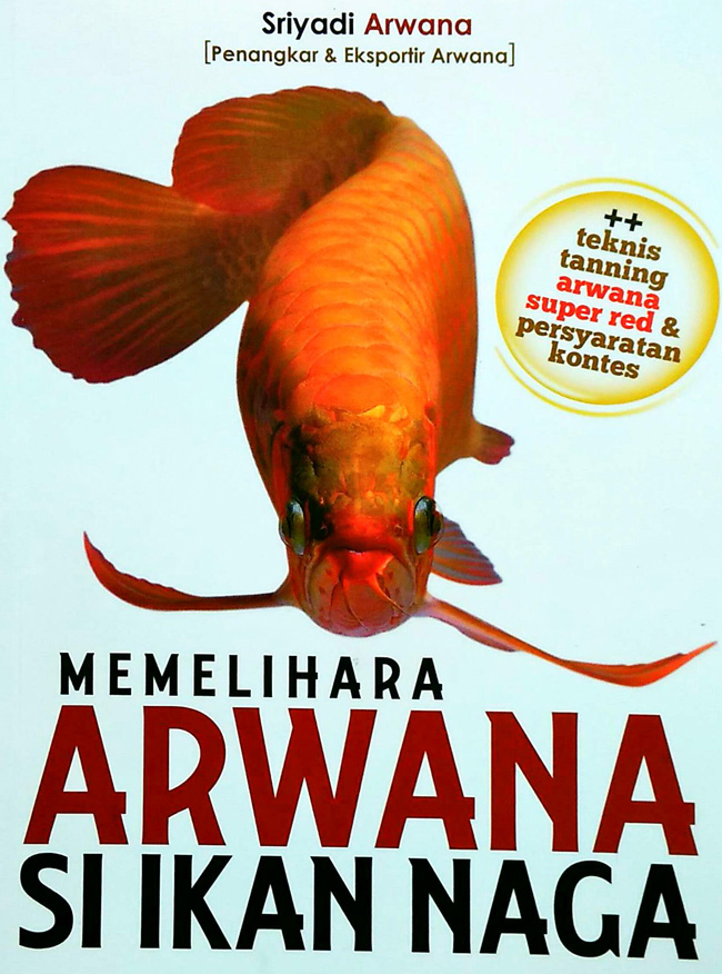 Memelihara Arwana si Ikan Naga