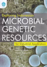 Exploring Indoensian microbial genetic resource for industrial application