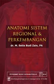 Anatomi Sistem Regional & Pekembangan
