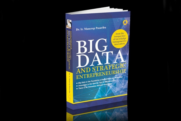 Big Data and Strategic Enterpreneurship