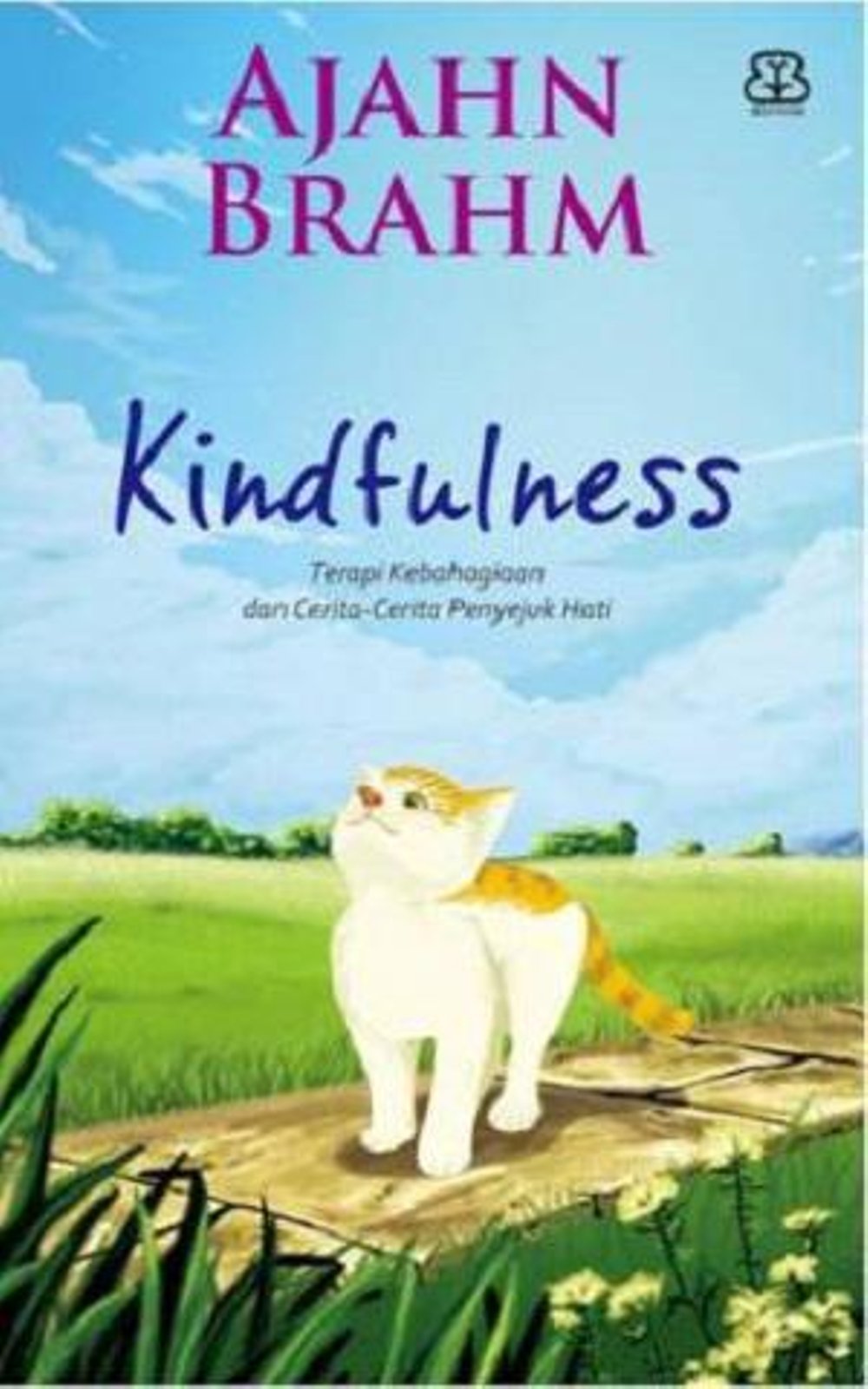 Kindfulness :  terapi kebahagiaan dan cerita-cerita penyejuk hati
